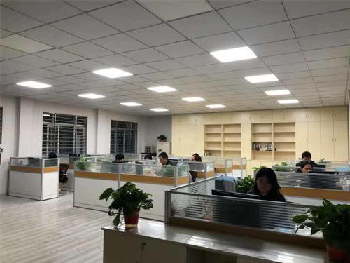 揚(yáng)州玉器廠迎戰(zhàn)雙十一 電商中心啟用，民辦培訓(xùn)機(jī)構(gòu)助陣